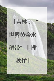 吉林：“世界黄金水稻带”上插秧忙