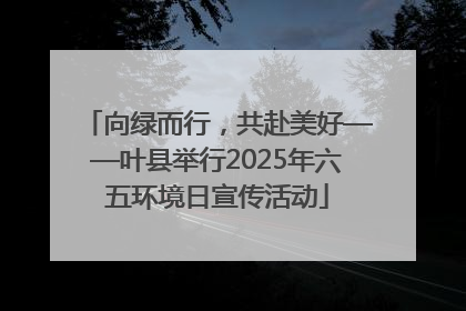 向绿而行，共赴美好——叶县举行2025年六五环境日宣传活动