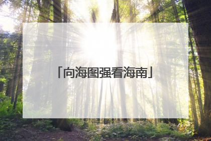向海图强看海南