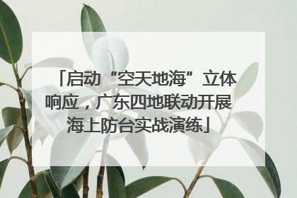 启动“空天地海”立体响应，广东四地联动开展海上防台实战演练