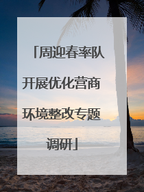 周迎春率队开展优化营商环境整改专题调研
