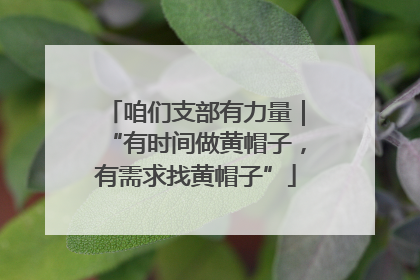 咱们支部有力量｜“有时间做黄帽子，有需求找黄帽子”