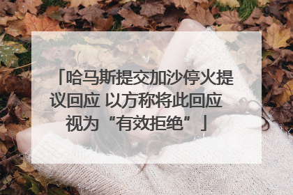 哈马斯提交加沙停火提议回应 以方称将此回应视为“有效拒绝”