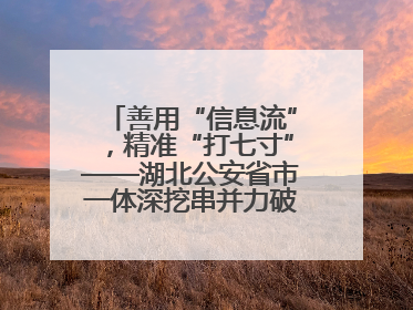 善用“信息流”，精准“打七寸”——湖北公安省市一体深挖串并力破民生案