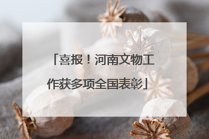喜报！河南文物工作获多项全国表彰
