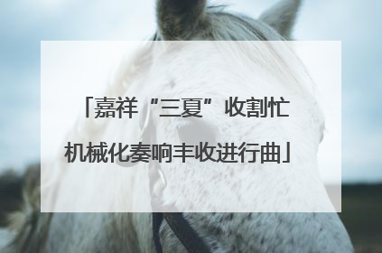 嘉祥“三夏”收割忙 机械化奏响丰收进行曲