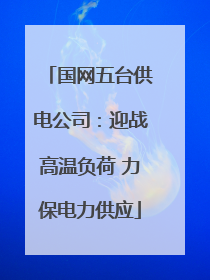 国网五台供电公司：迎战高温负荷 力保电力供应