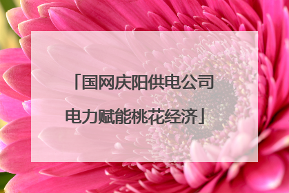 国网庆阳供电公司电力赋能桃花经济