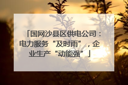 国网沙县区供电公司：电力服务“及时雨”，企业生产“动能强”