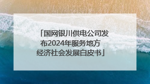 国网银川供电公司发布2024年服务地方经济社会发展白皮书