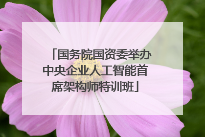 国务院国资委举办中央企业人工智能首席架构师特训班