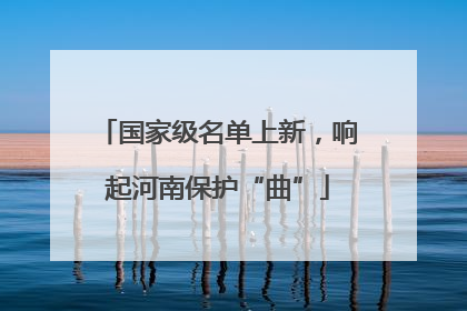 国家级名单上新，响起河南保护“曲”