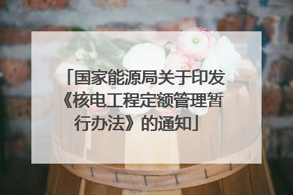 国家能源局关于印发《核电工程定额管理暂行办法》的通知