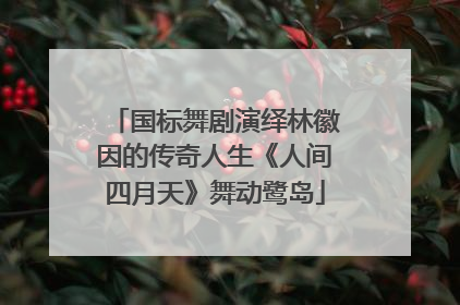 国标舞剧演绎林徽因的传奇人生《人间四月天》舞动鹭岛