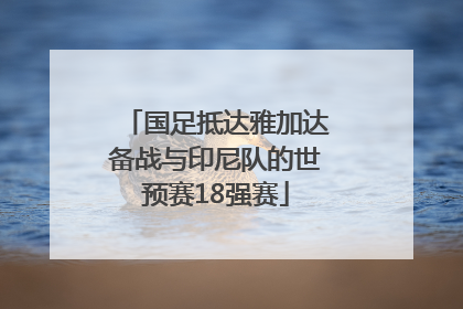 国足抵达雅加达备战与印尼队的世预赛18强赛