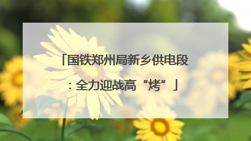 国铁郑州局新乡供电段：全力迎战高“烤”