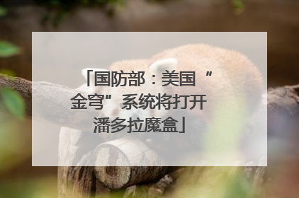 国防部：美国“金穹”系统将打开潘多拉魔盒