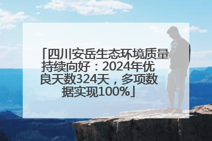 四川安岳生态环境质量持续向好：2024年优良天数324天，多项数据实现100%