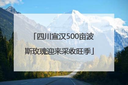 四川宣汉500亩波斯玫瑰迎来采收旺季
