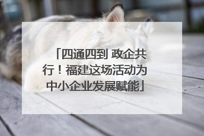 四通四到 政企共行！福建这场活动为中小企业发展赋能