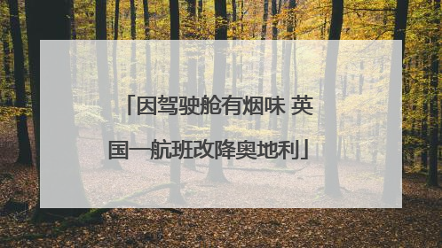 因驾驶舱有烟味 英国一航班改降奥地利