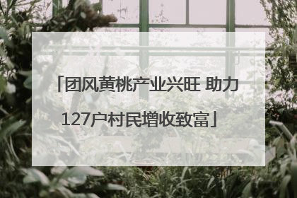 团风黄桃产业兴旺 助力127户村民增收致富