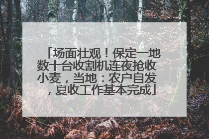 场面壮观！保定一地数十台收割机连夜抢收小麦，当地：农户自发，夏收工作基本完成