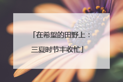 在希望的田野上：三夏时节丰收忙