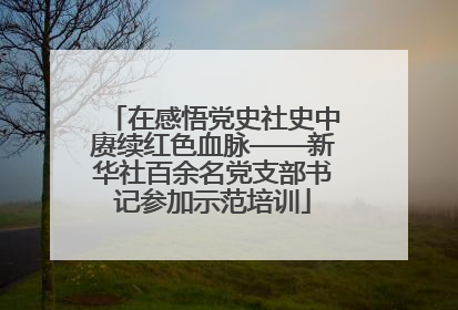 在感悟党史社史中赓续红色血脉——新华社百余名党支部书记参加示范培训