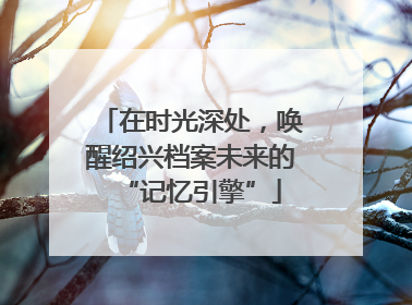 在时光深处，唤醒绍兴档案未来的“记忆引擎”