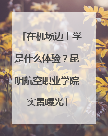 在机场边上学是什么体验？昆明航空职业学院实景曝光