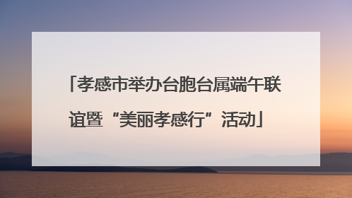 孝感市举办台胞台属端午联谊暨“美丽孝感行”活动
