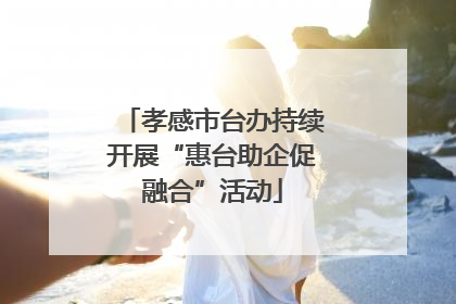 孝感市台办持续开展“惠台助企促融合”活动