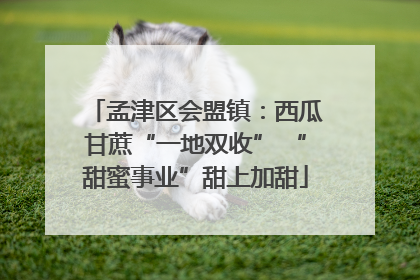 孟津区会盟镇：西瓜甘蔗“一地双收” “甜蜜事业”甜上加甜