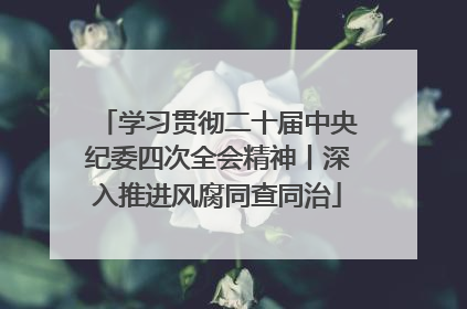 学习贯彻二十届中央纪委四次全会精神丨深入推进风腐同查同治