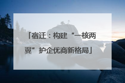 宿迁：构建“一核两翼”护企优商新格局