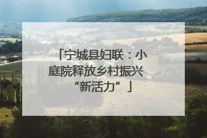 宁城县妇联：小庭院释放乡村振兴“新活力”