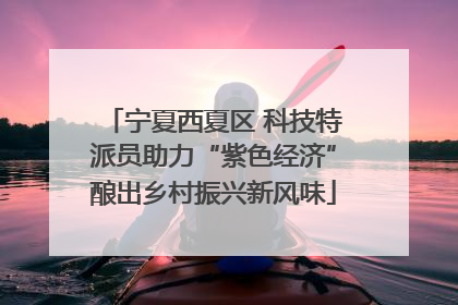 宁夏西夏区 科技特派员助力“紫色经济”酿出乡村振兴新风味