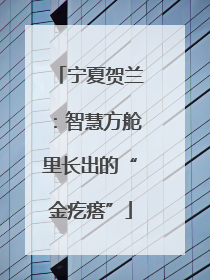宁夏贺兰：智慧方舱里长出的“金疙瘩”