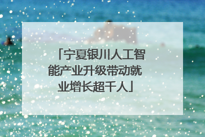宁夏银川人工智能产业升级带动就业增长超千人