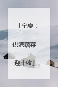 宁夏：供港蔬菜迎丰收