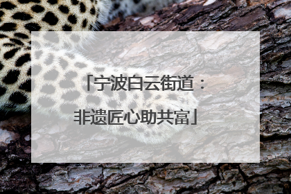 宁波白云街道：非遗匠心助共富