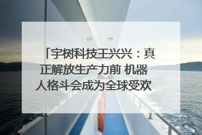 宇树科技王兴兴：真正解放生产力前 机器人格斗会成为全球受欢迎的赛事｜科技观察