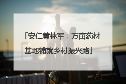 安仁黄林军：万亩药材基地铺就乡村振兴路