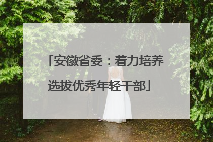 安徽省委：着力培养选拔优秀年轻干部