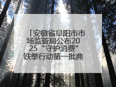 安徽省阜阳市市场监管局公布2025“守护消费”铁拳行动第一批典型案例