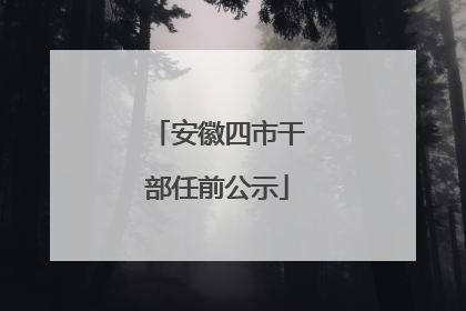 安徽四市干部任前公示