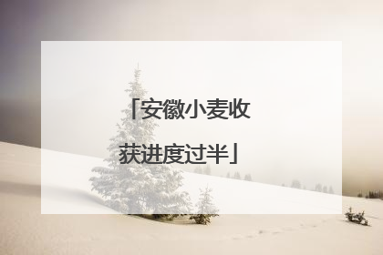 安徽小麦收获进度过半