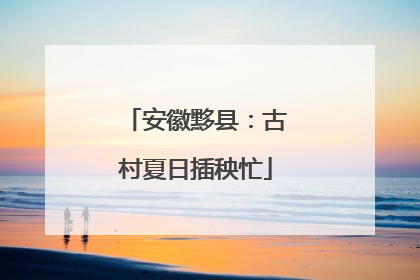 安徽黟县：古村夏日插秧忙
