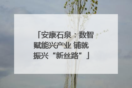 安康石泉：数智赋能兴产业 铺就振兴“新丝路”
